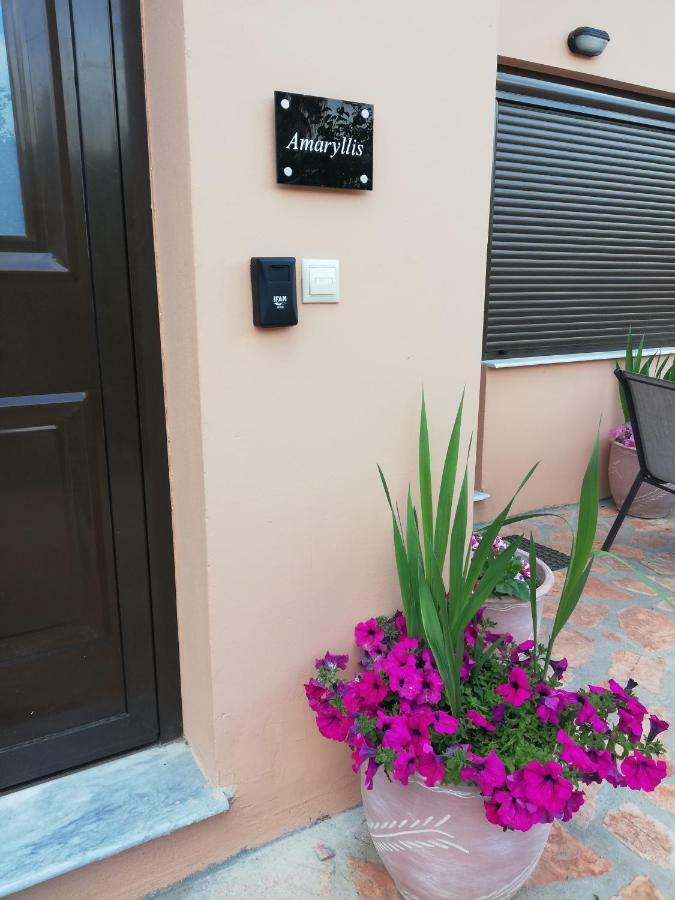 Dimitra - Loft Apartments Corfu  Экстерьер фото